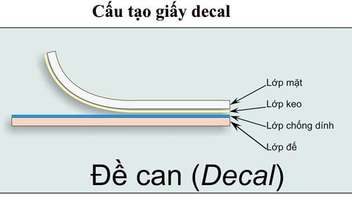 cấu tạo decal fasson