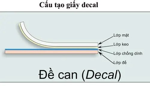 cấu tạo decal fasson