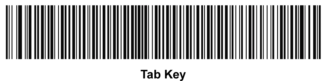 Hướng dẫn cài đặt máy quét mã vạch Symbol – Zebra LS2208