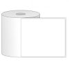 Giấy in mã vạch PVC 1 tem 100x100x50m