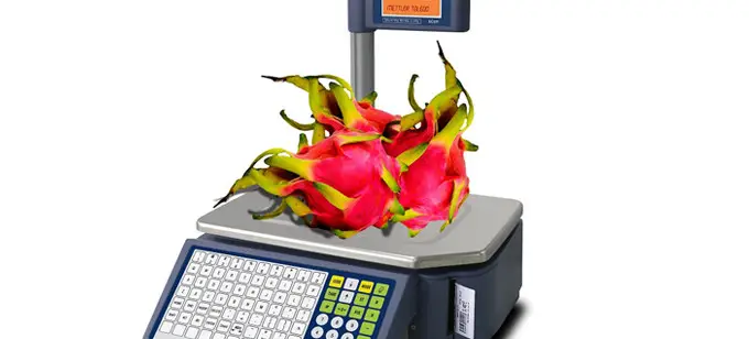 Cân điện tử in tem nhãn Mettler Toledo BCom